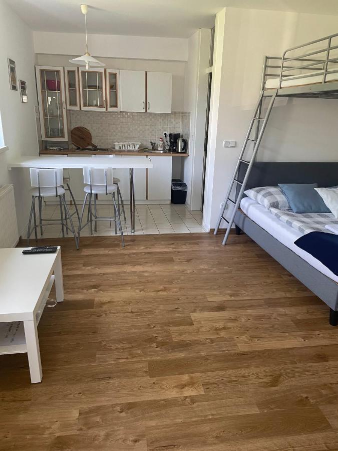 Studio Apartment Ta5Ek Jesenice Extérieur photo